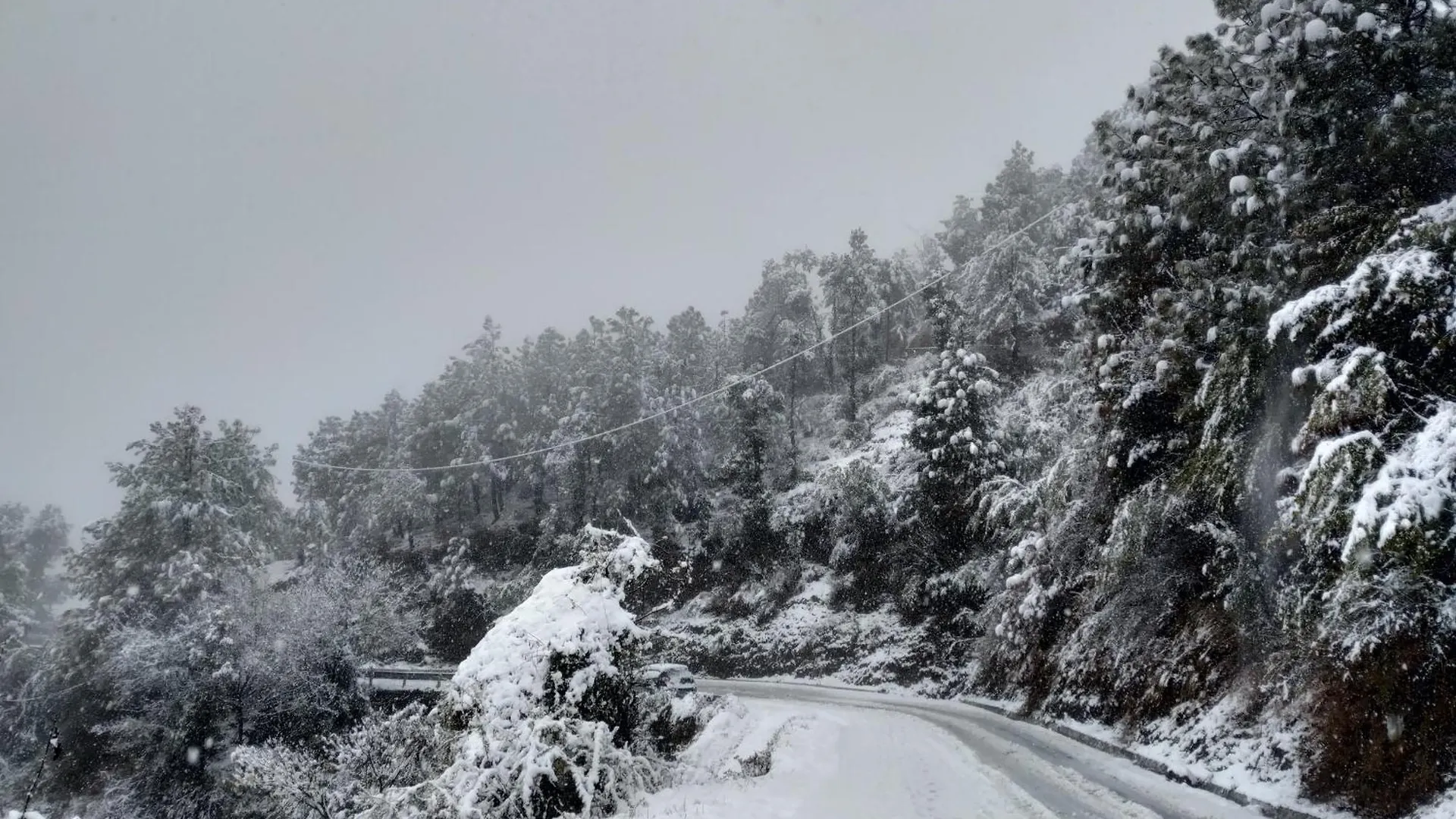 Hues & Trails Ground Zero Appartement Shimla
